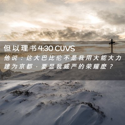 Picture 02 - 但 以 理 书 4:30 CUVS - 他 说 ： 这 大 巴 比 伦 不 是 我 用 - Bible Verse Picture