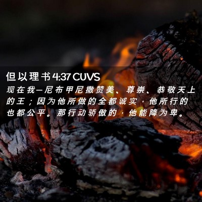 Picture 02 - 但 以 理 书 4:37 CUVS - 现 在 我 ─ 尼 布 甲 尼 撒 赞 美 、 - Bible Verse Picture
