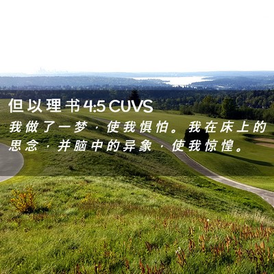 Picture 02 - 但 以 理 书 4:5 CUVS - 我 做 了 一 梦 ， 使 我 惧 怕 。 我 - Bible Verse Picture