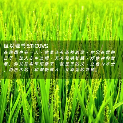 Picture 02 - 但 以 理 书 5:11 CUVS - 在 你 国 中 有 一 人 ， 他 里 头 有 - Bible Verse Picture
