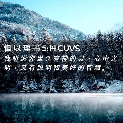 Picture 02 - 但 以 理 书 5:14 CUVS - 我 听 说 你 里 头 有 神 的 灵 ， 心 - Bible Verse Picture