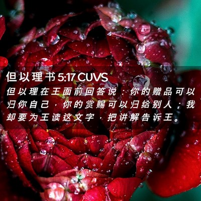 Picture 02 - 但 以 理 书 5:17 CUVS - 但 以 理 在 王 面 前 回 答 说 ： 你 - Bible Verse Picture