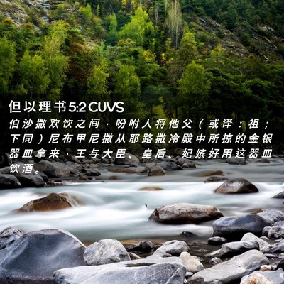 Picture 02 - 但 以 理 书 5:2 CUVS - 伯 沙 撒 欢 饮 之 间 ， 吩 咐 人 将 - Bible Verse Picture