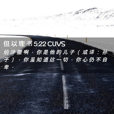 Picture 02 - 但 以 理 书 5:22 CUVS - 伯 沙 撒 啊 ， 你 是 他 的 儿 子 （ - Bible Verse Picture
