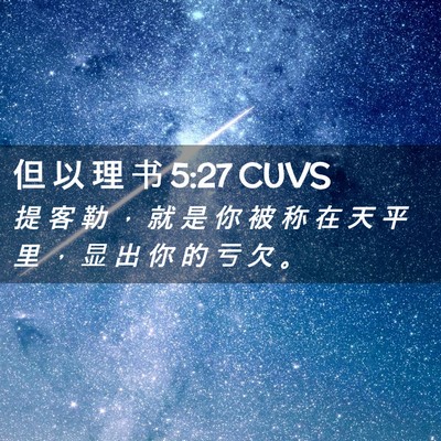 Picture 02 - 但 以 理 书 5:27 CUVS - 提 客 勒 ， 就 是 你 被 称 在 天 平 - Bible Verse Picture