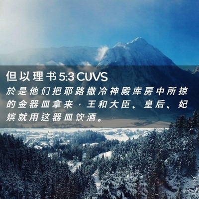 Picture 02 - 但 以 理 书 5:3 CUVS - 於 是 他 们 把 耶 路 撒 冷 神 殿 库 - Bible Verse Picture