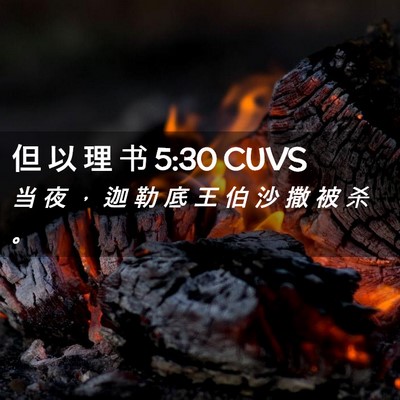Picture 02 - 但 以 理 书 5:30 CUVS - 当 夜 ， 迦 勒 底 王 伯 沙 撒 被 杀 - Bible Verse Picture