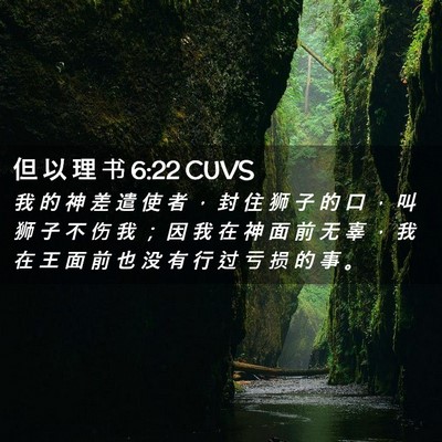 Picture 02 - 但 以 理 书 6:22 CUVS - 我 的 神 差 遣 使 者 ， 封 住 狮 子 - Bible Verse Picture