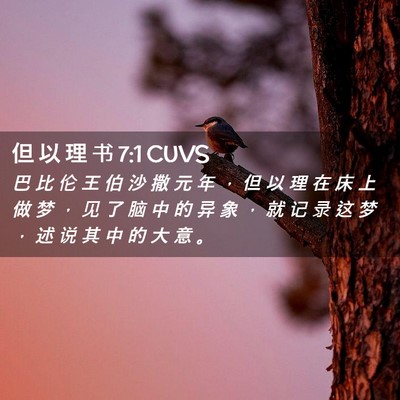 Picture 02 - 但 以 理 书 7:1 CUVS - 巴 比 伦 王 伯 沙 撒 元 年 ， 但 以 - Bible Verse Picture