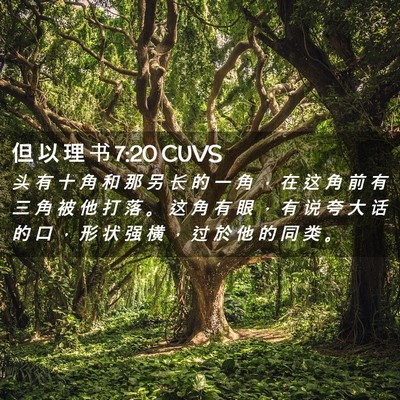 Picture 02 - 但 以 理 书 7:20 CUVS - 头 有 十 角 和 那 另 长 的 一 角 ， - Bible Verse Picture