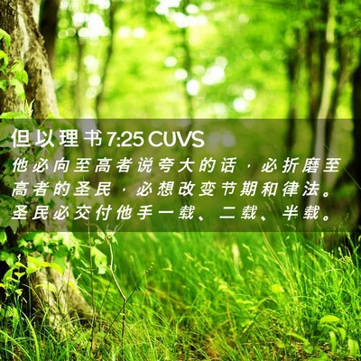 Picture 02 - 但 以 理 书 7:25 CUVS - 他 必 向 至 高 者 说 夸 大 的 话 ， - Bible Verse Picture