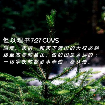 Picture 02 - 但 以 理 书 7:27 CUVS - 国 度 、 权 柄 ， 和 天 下 诸 国 的 - Bible Verse Picture