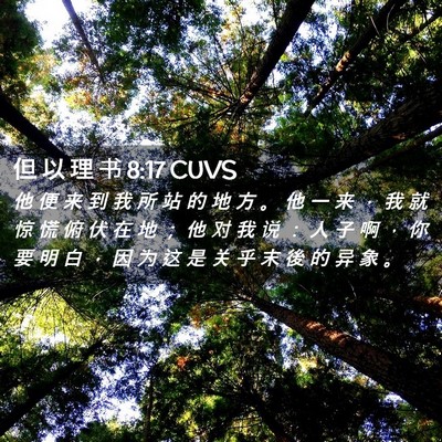 Picture 02 - 但 以 理 书 8:17 CUVS - 他 便 来 到 我 所 站 的 地 方 。 他 - Bible Verse Picture