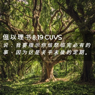 Picture 02 - 但 以 理 书 8:19 CUVS - 说 ： 我 要 指 示 你 恼 怒 临 完 必 - Bible Verse Picture