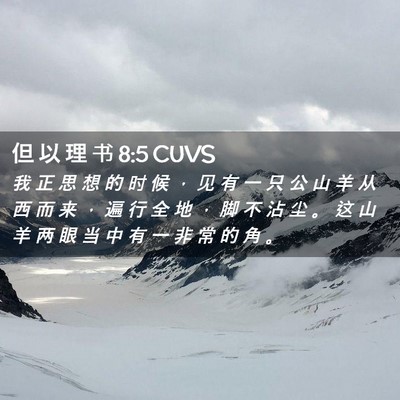 Picture 02 - 但 以 理 书 8:5 CUVS - 我 正 思 想 的 时 候 ， 见 有 一 只 - Bible Verse Picture