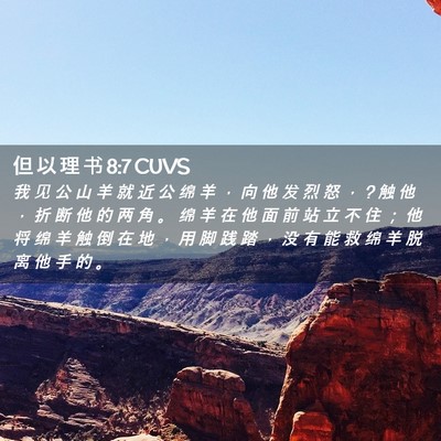 Picture 02 - 但 以 理 书 8:7 CUVS - 我 见 公 山 羊 就 近 公 绵 羊 ， 向 - Bible Verse Picture