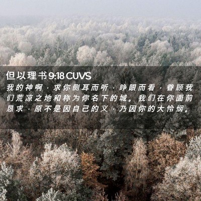 Picture 02 - 但 以 理 书 9:18 CUVS - 我 的 神 啊 ， 求 你 侧 耳 而 听 ， - Bible Verse Picture