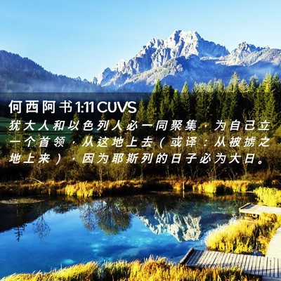 Picture 02 - 何 西 阿 书 1:11 CUVS - 犹 大 人 和 以 色 列 人 必 一 同 聚 - Bible Verse Picture