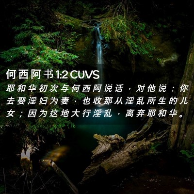 Picture 02 - 何 西 阿 书 1:2 CUVS - 耶 和 华 初 次 与 何 西 阿 说 话 ， - Bible Verse Picture