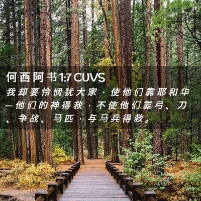 Picture 02 - 何 西 阿 书 1:7 CUVS - 我 却 要 怜 悯 犹 大 家 ， 使 他 们 - Bible Verse Picture