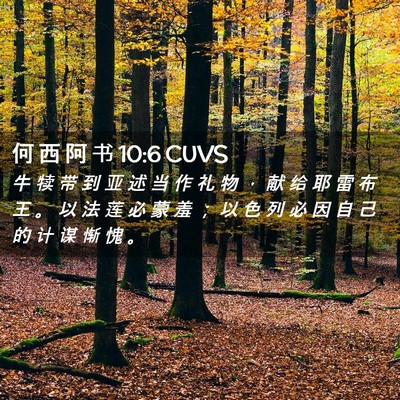 Picture 02 - 何 西 阿 书 10:6 CUVS - 牛 犊 带 到 亚 述 当 作 礼 物 ， 献 - Bible Verse Picture