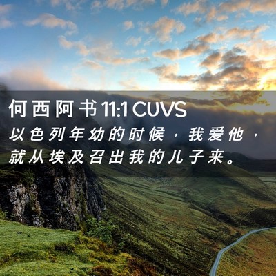 Picture 02 - 何 西 阿 书 11:1 CUVS - 以 色 列 年 幼 的 时 候 ， 我 爱 他 - Bible Verse Picture