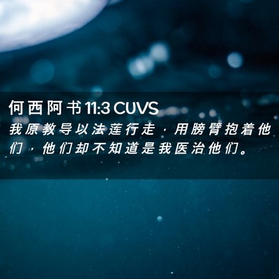 Picture 02 - 何 西 阿 书 11:3 CUVS - 我 原 教 导 以 法 莲 行 走 ， 用 膀 - Bible Verse Picture