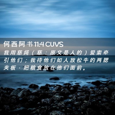 Picture 02 - 何 西 阿 书 11:4 CUVS - 我 用 慈 绳 （ 慈 ： 原 文 是 人 的 - Bible Verse Picture