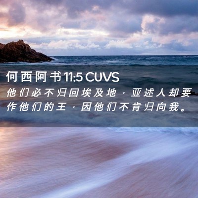 Picture 02 - 何 西 阿 书 11:5 CUVS - 他 们 必 不 归 回 埃 及 地 ， 亚 述 - Bible Verse Picture