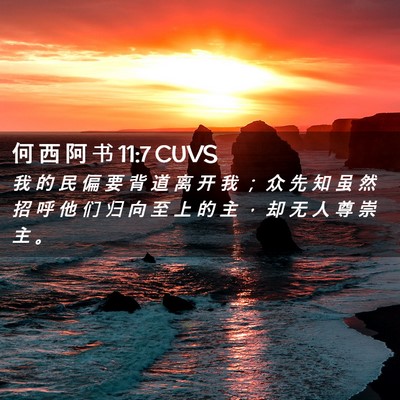 Picture 02 - 何 西 阿 书 11:7 CUVS - 我 的 民 偏 要 背 道 离 开 我 ； 众 - Bible Verse Picture