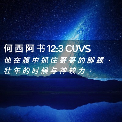 Picture 02 - 何 西 阿 书 12:3 CUVS - 他 在 腹 中 抓 住 哥 哥 的 脚 跟 ， - Bible Verse Picture