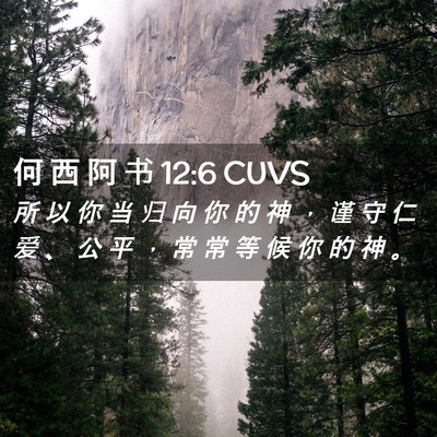 Picture 02 - 何 西 阿 书 12:6 CUVS - 所 以 你 当 归 向 你 的 神 ， 谨 守 - Bible Verse Picture