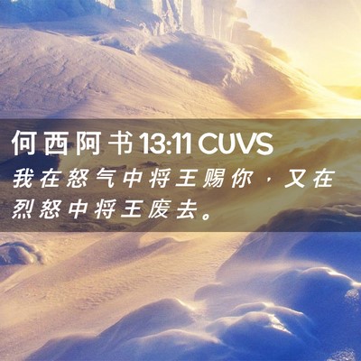 Picture 02 - 何 西 阿 书 13:11 CUVS - 我 在 怒 气 中 将 王 赐 你 ， 又 在 - Bible Verse Picture