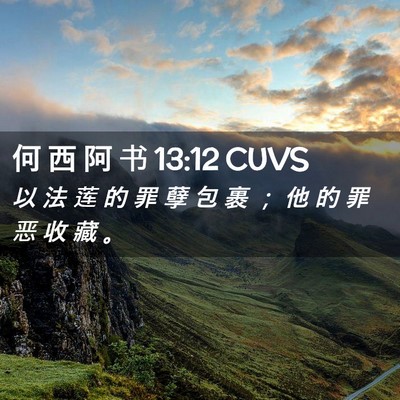 Picture 02 - 何 西 阿 书 13:12 CUVS - 以 法 莲 的 罪 孽 包 裹 ； 他 的 罪 - Bible Verse Picture