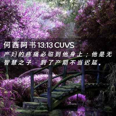 Picture 02 - 何 西 阿 书 13:13 CUVS - 产 妇 的 疼 痛 必 临 到 他 身 上 ； - Bible Verse Picture