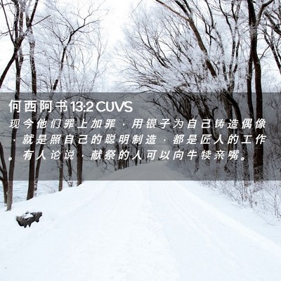 Picture 02 - 何 西 阿 书 13:2 CUVS - 现 今 他 们 罪 上 加 罪 ， 用 银 子 - Bible Verse Picture