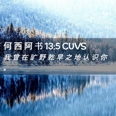 Picture 02 - 何 西 阿 书 13:5 CUVS - 我 曾 在 旷 野 乾 旱 之 地 认 识 你 - Bible Verse Picture