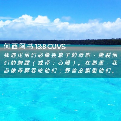 Picture 02 - 何 西 阿 书 13:8 CUVS - 我 遇 见 他 们 必 像 丢 崽 子 的 母 - Bible Verse Picture