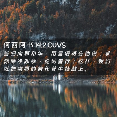 Picture 02 - 何 西 阿 书 14:2 CUVS - 当 归 向 耶 和 华 ， 用 言 语 祷 告 - Bible Verse Picture