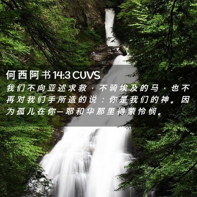 Picture 02 - 何 西 阿 书 14:3 CUVS - 我 们 不 向 亚 述 求 救 ， 不 骑 埃 - Bible Verse Picture