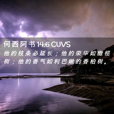 Picture 02 - 何 西 阿 书 14:6 CUVS - 他 的 枝 条 必 延 长 ； 他 的 荣 华 - Bible Verse Picture