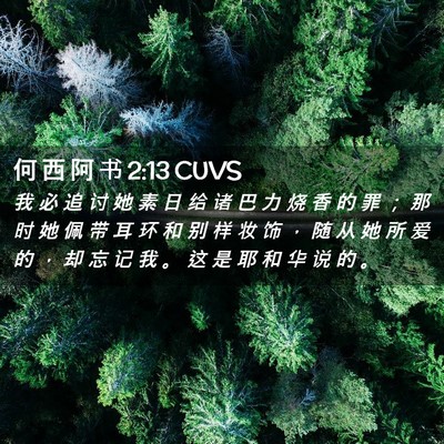 Picture 02 - 何 西 阿 书 2:13 CUVS - 我 必 追 讨 她 素 日 给 诸 巴 力 烧 - Bible Verse Picture