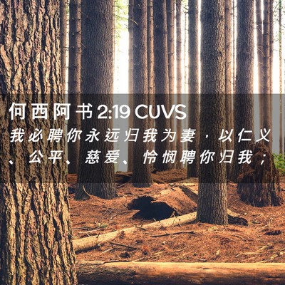 Picture 02 - 何 西 阿 书 2:19 CUVS - 我 必 聘 你 永 远 归 我 为 妻 ， 以 - Bible Verse Picture