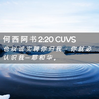 Picture 02 - 何 西 阿 书 2:20 CUVS - 也 以 诚 实 聘 你 归 我 ， 你 就 必 - Bible Verse Picture