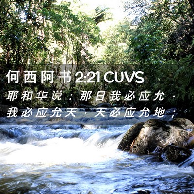 Picture 02 - 何 西 阿 书 2:21 CUVS - 耶 和 华 说 ： 那 日 我 必 应 允 ， - Bible Verse Picture