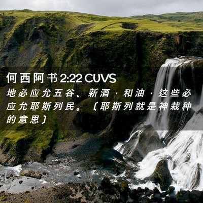 Picture 02 - 何 西 阿 书 2:22 CUVS - 地 必 应 允 五 谷 、 新 酒 ， 和 油 - Bible Verse Picture