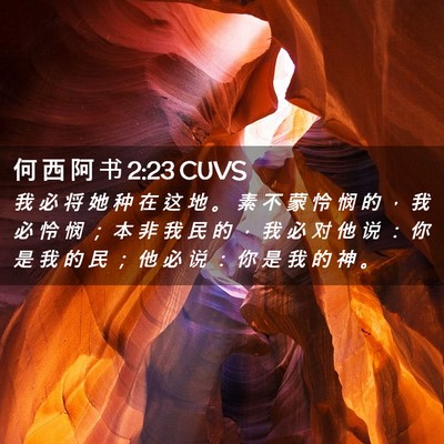 Picture 02 - 何 西 阿 书 2:23 CUVS - 我 必 将 她 种 在 这 地 。 素 不 蒙 - Bible Verse Picture