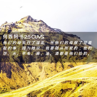 Picture 02 - 何 西 阿 书 2:5 CUVS - 他 们 的 母 亲 行 了 淫 乱 ， 怀 他 - Bible Verse Picture