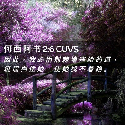 Picture 02 - 何 西 阿 书 2:6 CUVS - 因 此 ， 我 必 用 荆 棘 堵 塞 她 的 - Bible Verse Picture