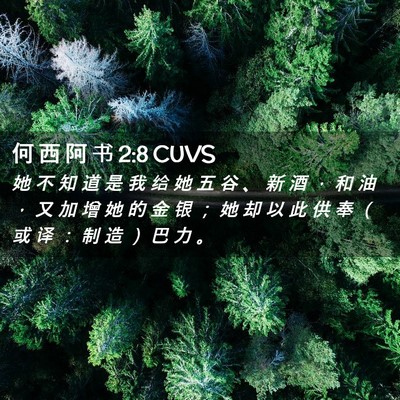 Picture 02 - 何 西 阿 书 2:8 CUVS - 她 不 知 道 是 我 给 她 五 谷 、 新 - Bible Verse Picture